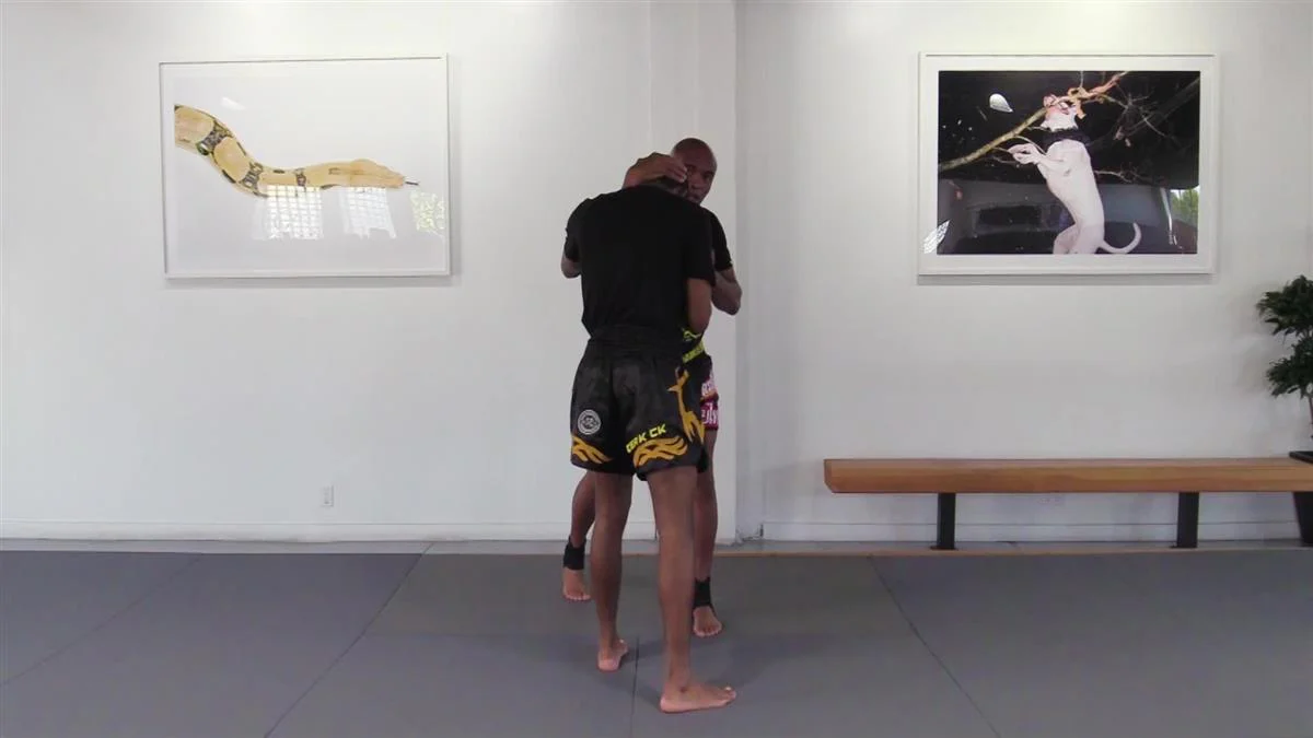 The Comprehensive Strikers Guide by Anderson Silva - Image 4