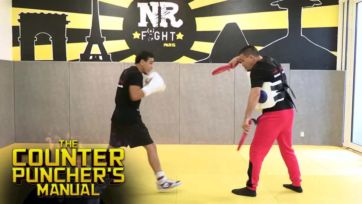 The Counter Punchers Manual by Nordine Oubaali - Image 3