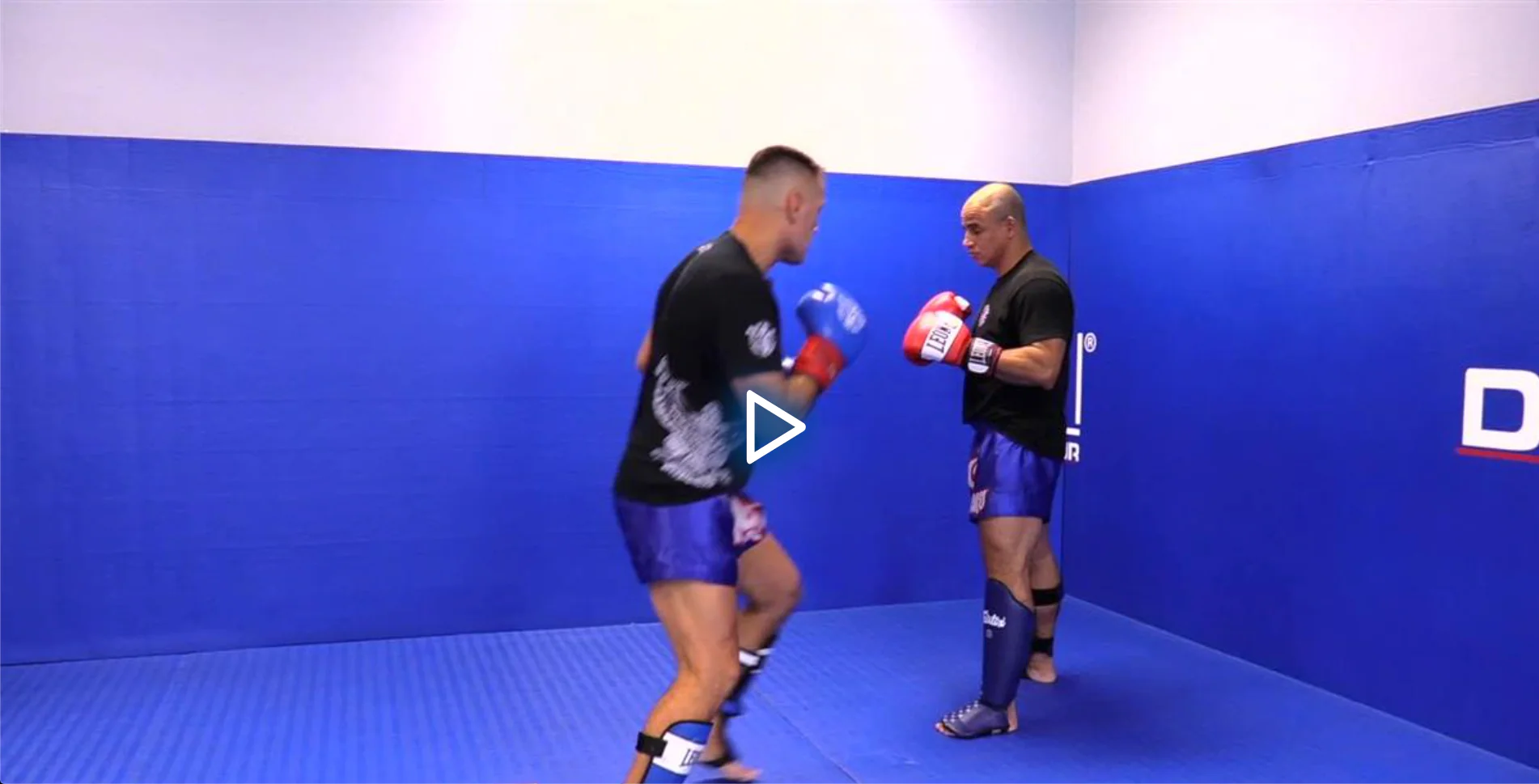 The Crushing Calf Kick by Katel Kubis - Image 4