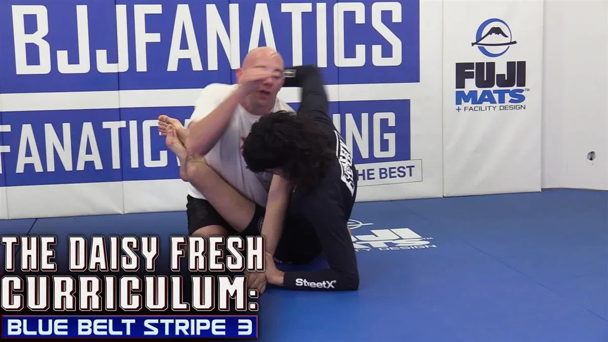 The Daisy Fresh Curriculum: Blue Belt No Gi Stripe 3 by Heath Pedigo - Image 3