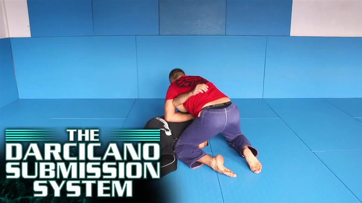 The Darcicano Submission System by Bjorn Friedrich - Image 3