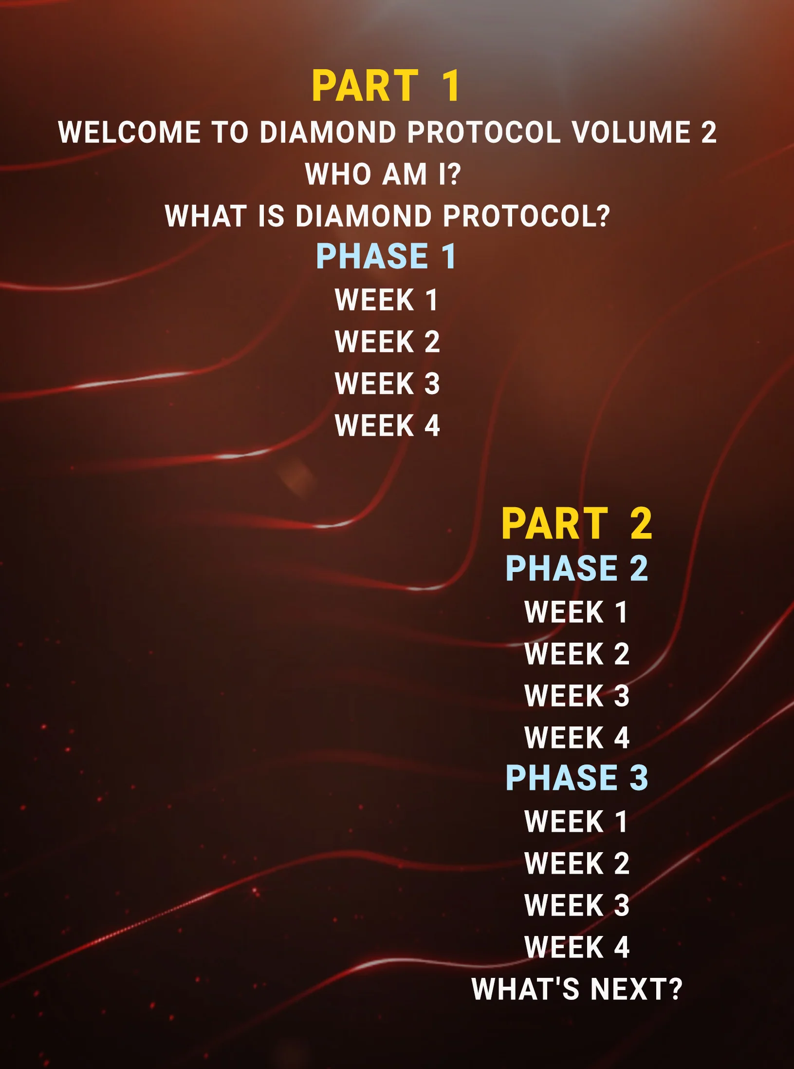 The Diamond Protocol for Jiu Jitsu & MMA by Ethan Benda - Image 2