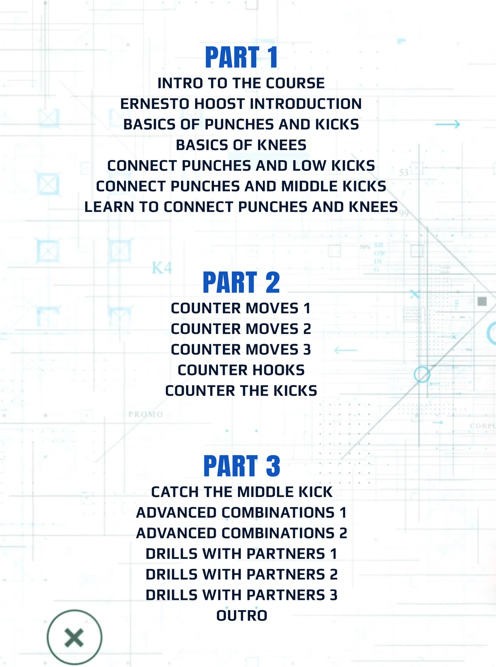 The Dutch Kickboxing Blueprint by Ernesto Hoost - Image 2