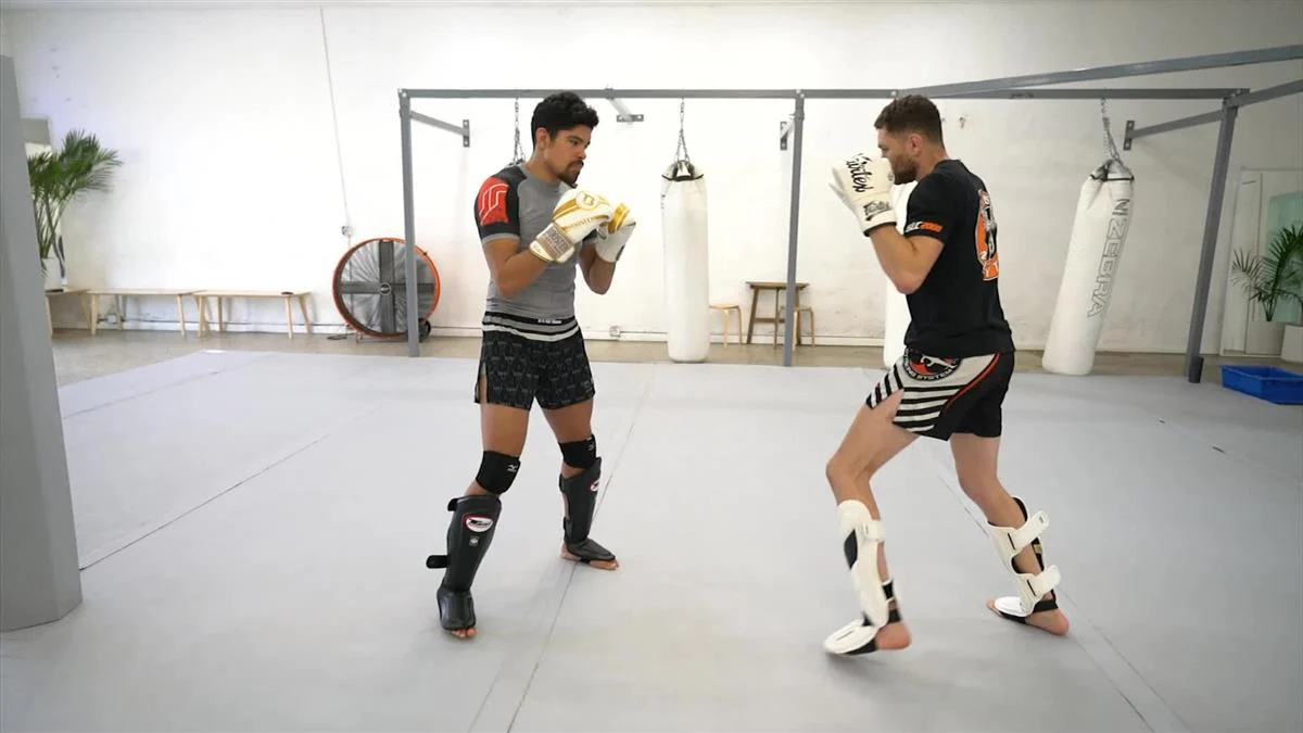 The Effective Footwork Manual by Vince McGuinness - Image 5