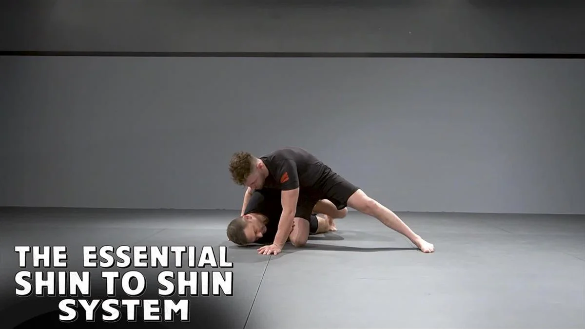 The Essential Shin To Shin System by Shawn Williams - Image 3
