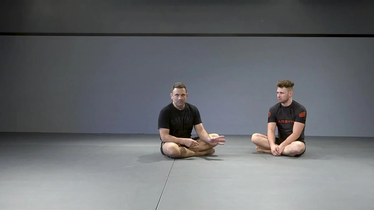 The Essential Shin To Shin System by Shawn Williams - Image 4