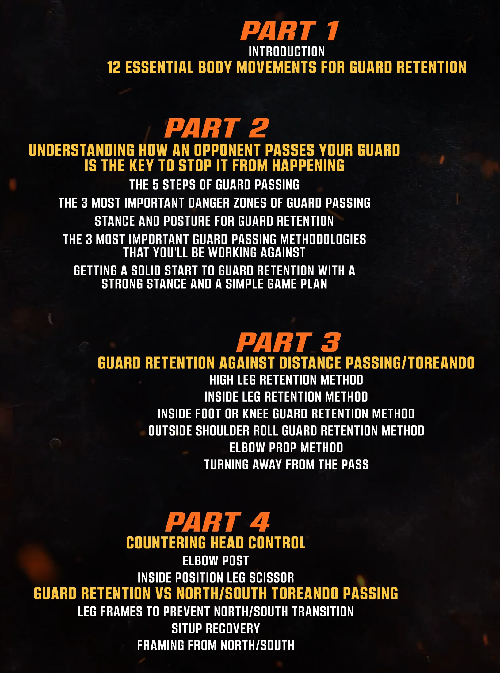 The Fastest Way: To Develop An Unpassable Guard by John Danaher - Image 2