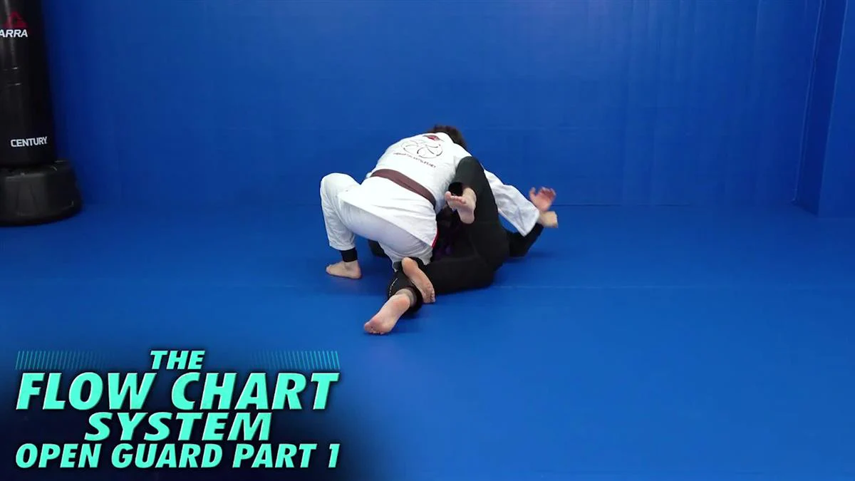 The Flow Chart System Open Guard Part 1 by Eric Laporte - Image 3