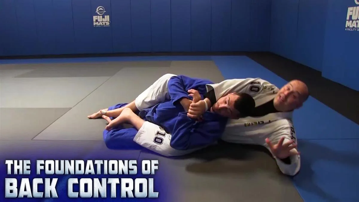 The Foundations of Back Control by Ante Dzolic - Image 3