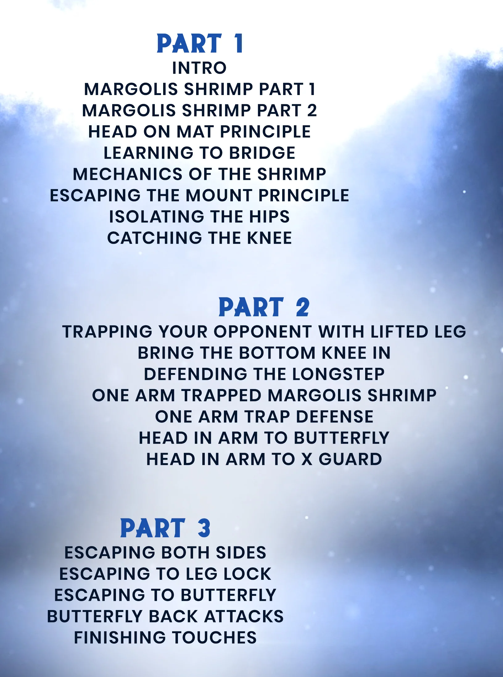 The Fundamental Shrimp System by Todd Margolis - Image 2