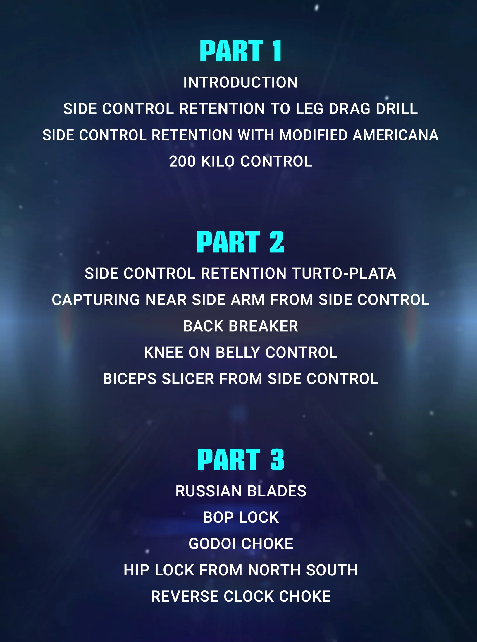The Godoi Side Control System by Roberto Godoi - Image 2
