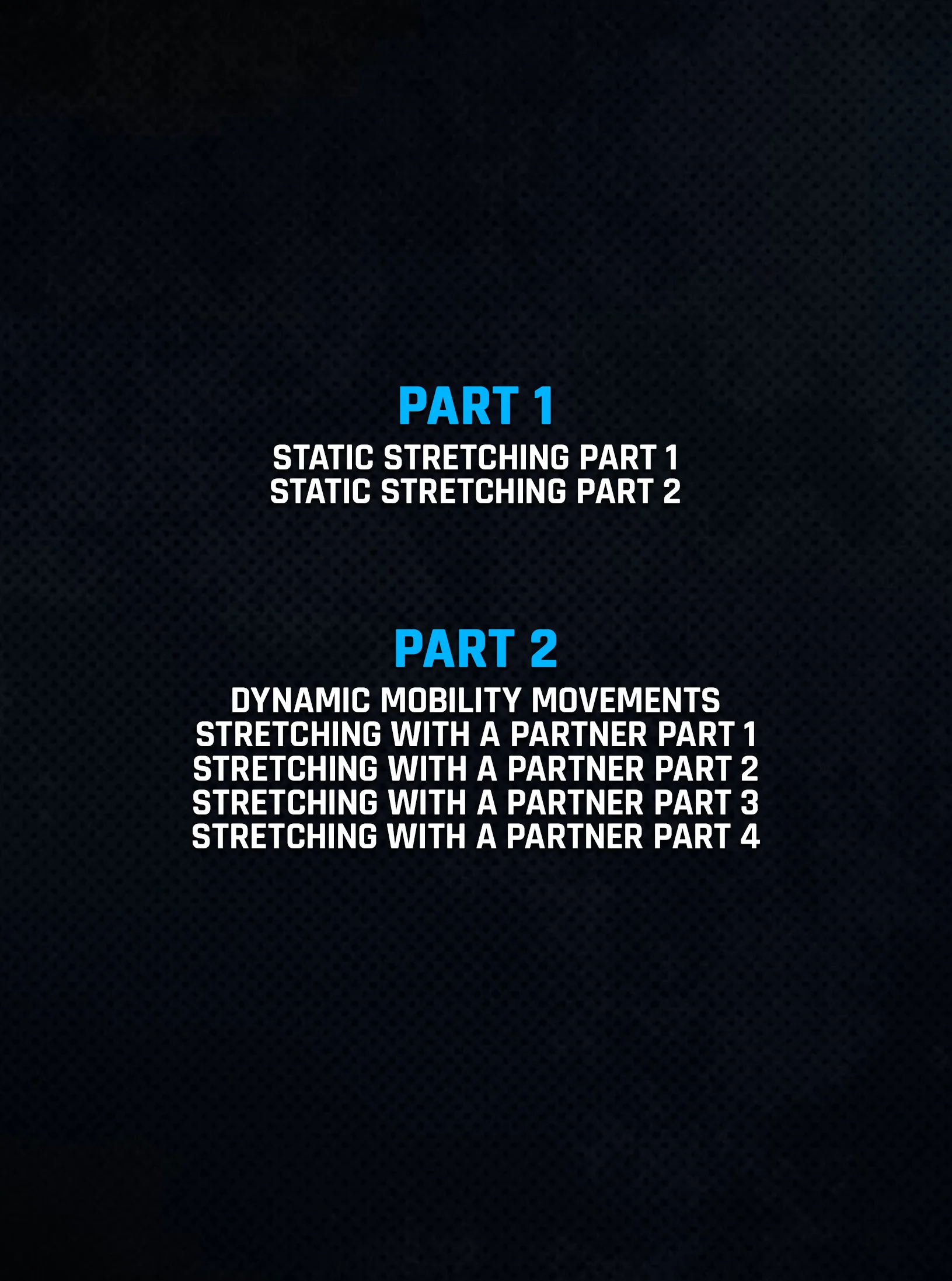 The Grappler’s Recovery System by Alvaro Romano - Image 2