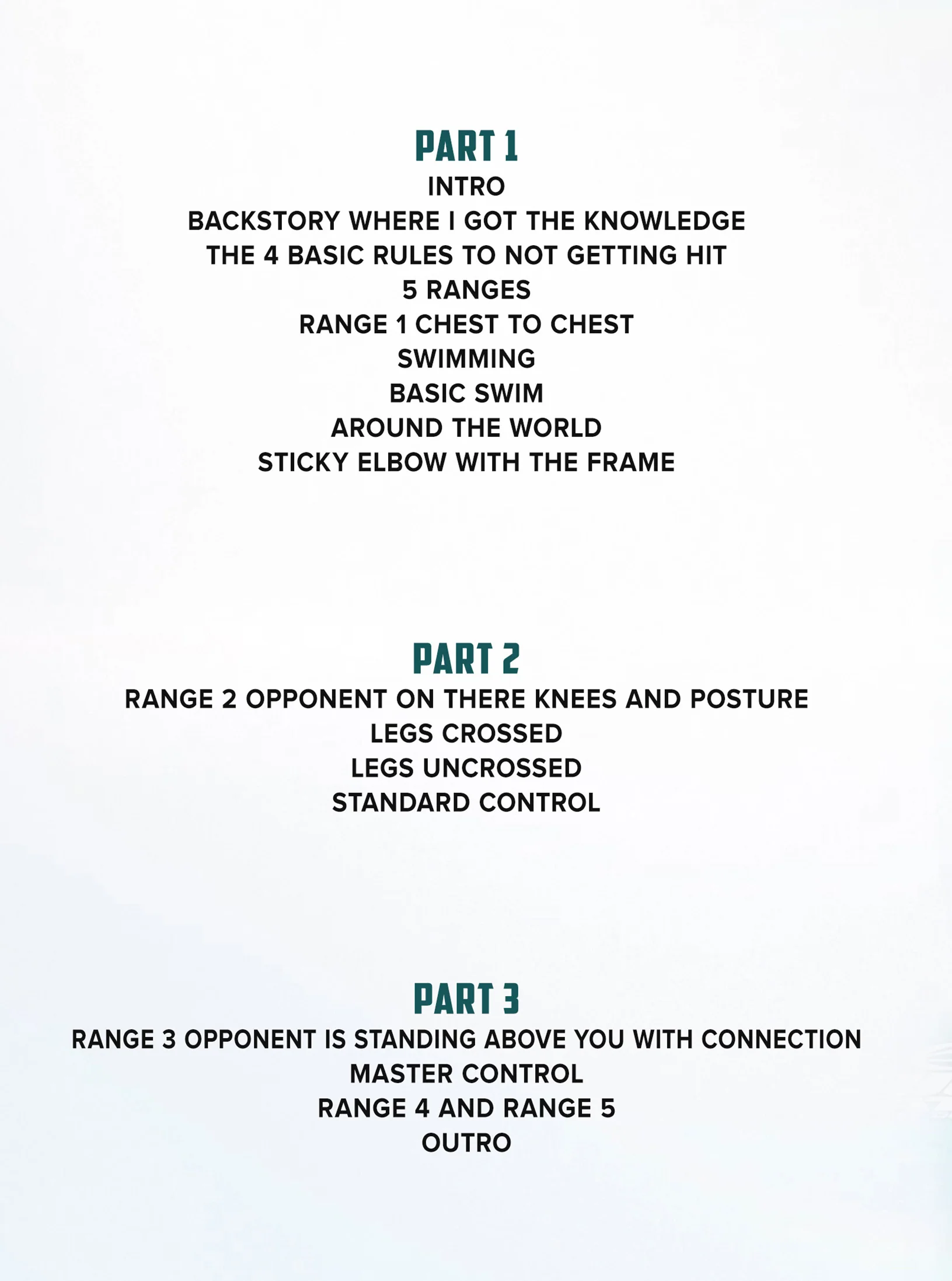 The Ground And Pound Safety Manual by Javier Vazquez - Image 2