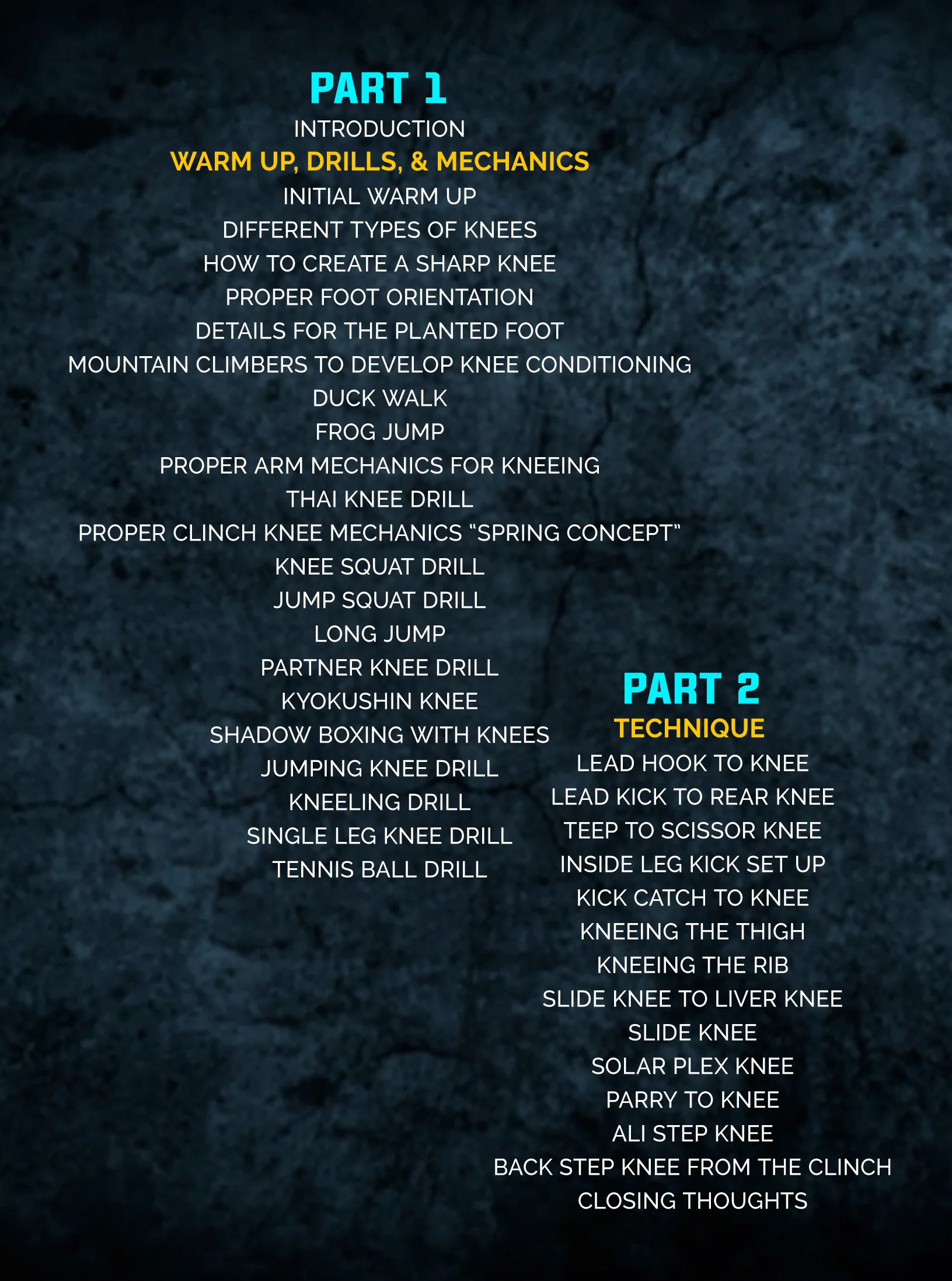 The Knee Strike Encyclopedia by Artem Levin - Image 2