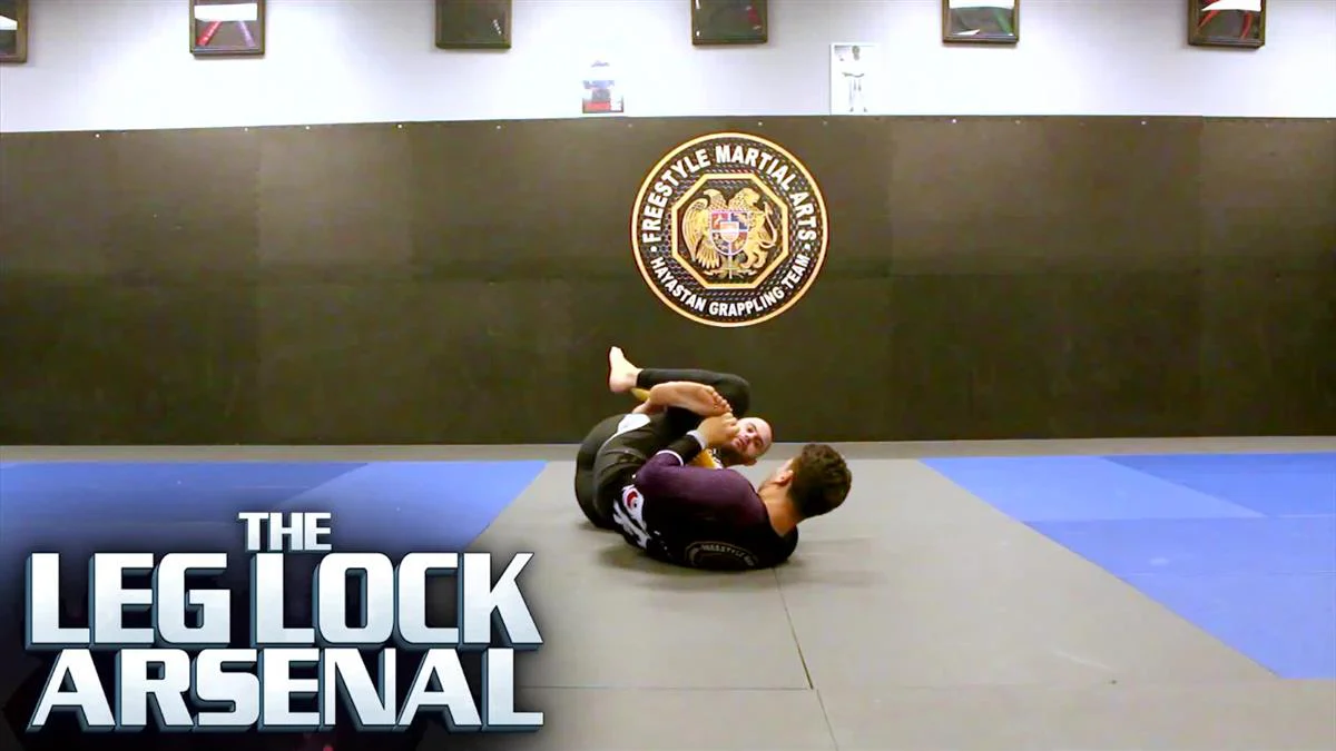 The Leg Lock Arsenal by Gokor Ambaryan - Image 3