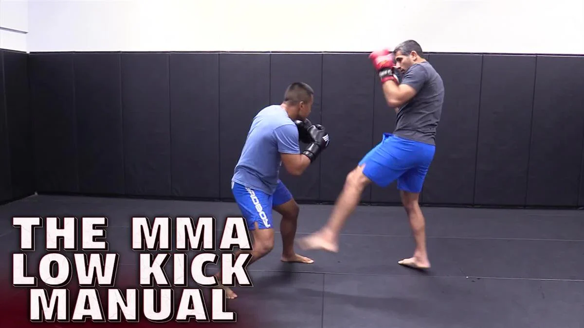 The MMA Low Kick Manual by Beneil Dariush - Image 3