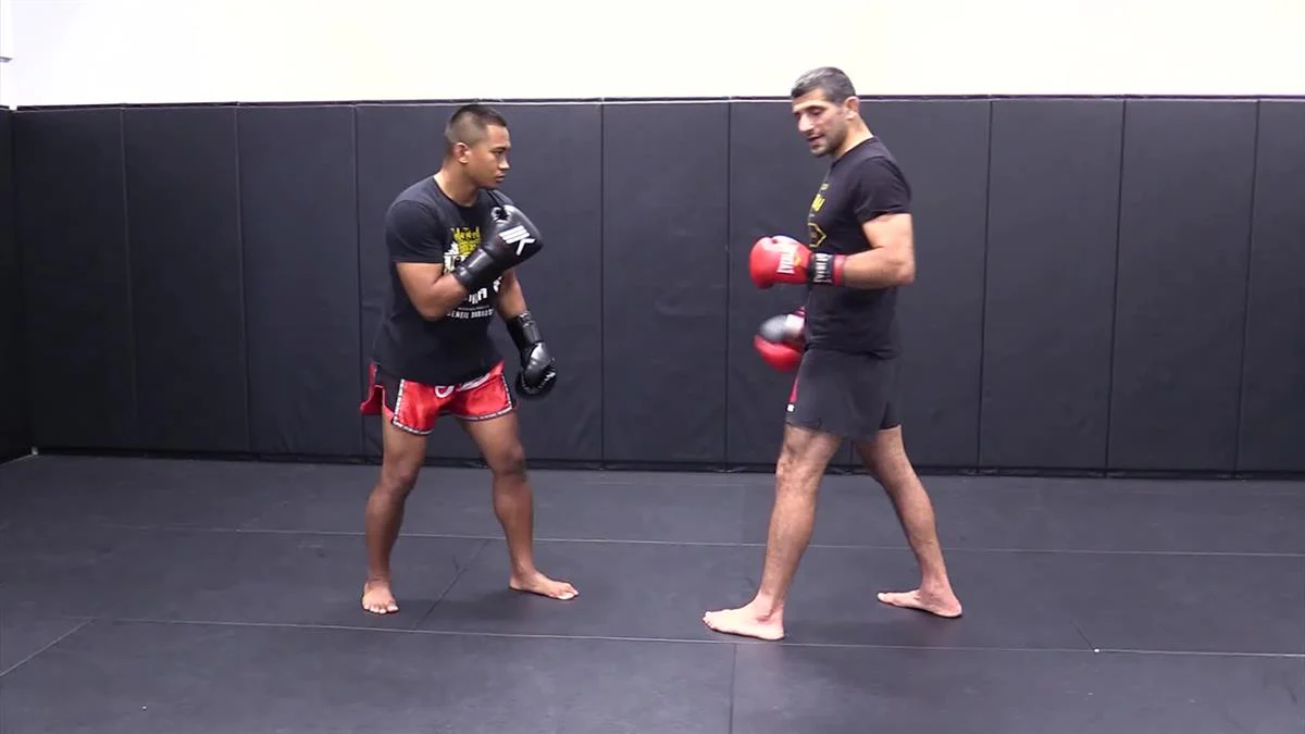 The MMA Low Kick Manual by Beneil Dariush - Image 4