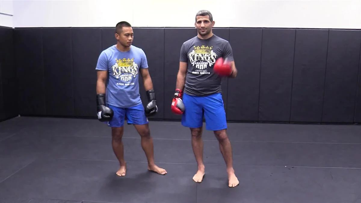 The MMA Low Kick Manual by Beneil Dariush - Image 5