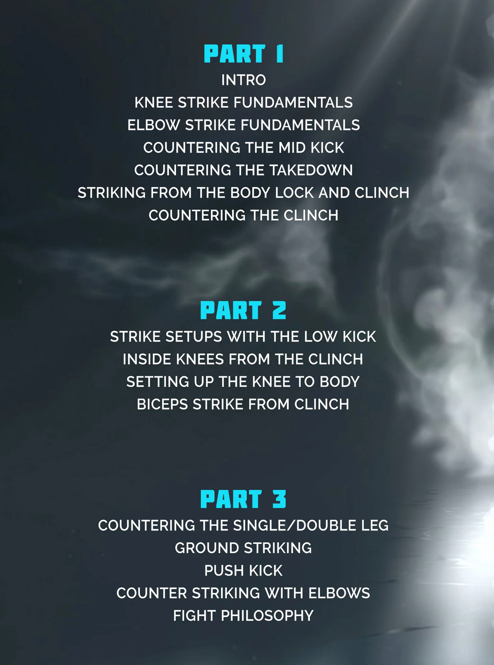 The MMA Muay Thai Manual by Cheick Kongo - Image 2