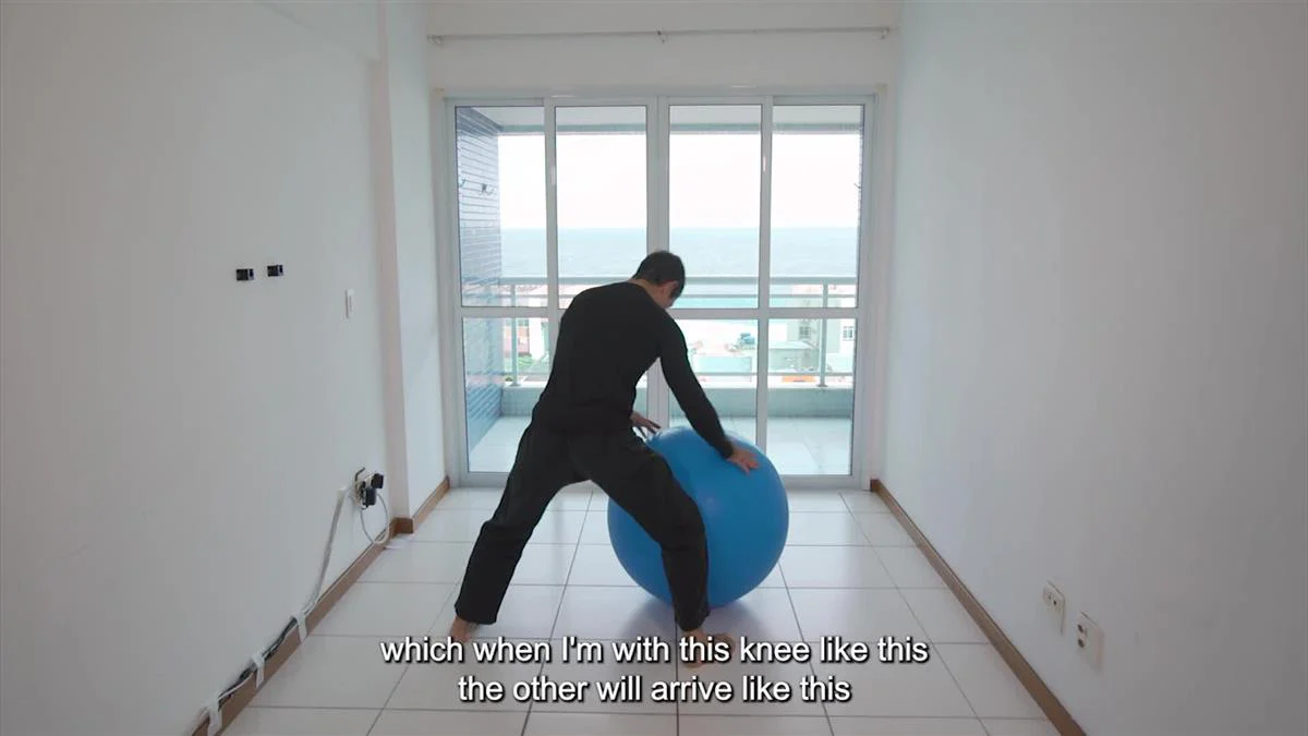 The Mobility Ball Encyclopedia volume 1: Building Basic Mobility by Humberto Silveira - Image 4