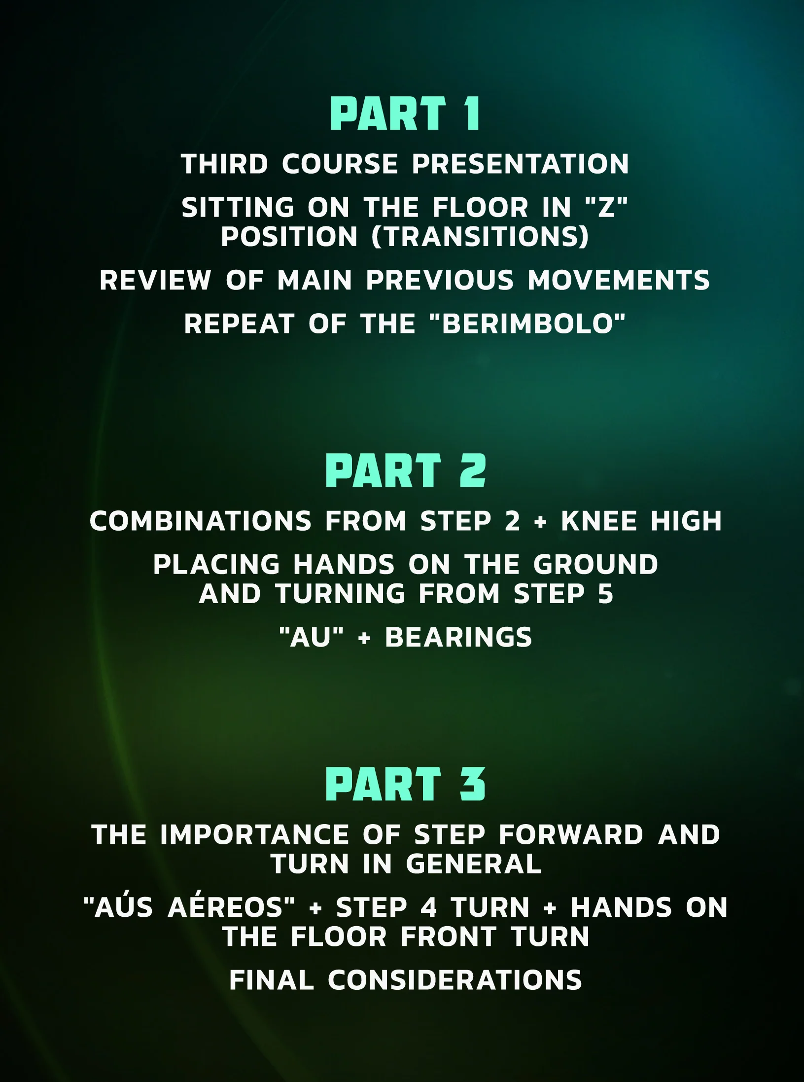 The Mobility Ball Encyclopedia volume 3: Mobility Mastery by Humberto Silveira - Image 2