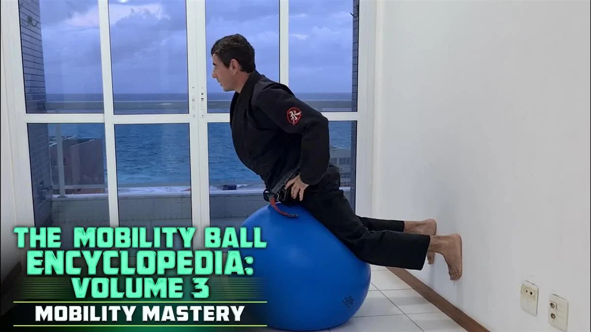 The Mobility Ball Encyclopedia volume 3: Mobility Mastery by Humberto Silveira - Image 3