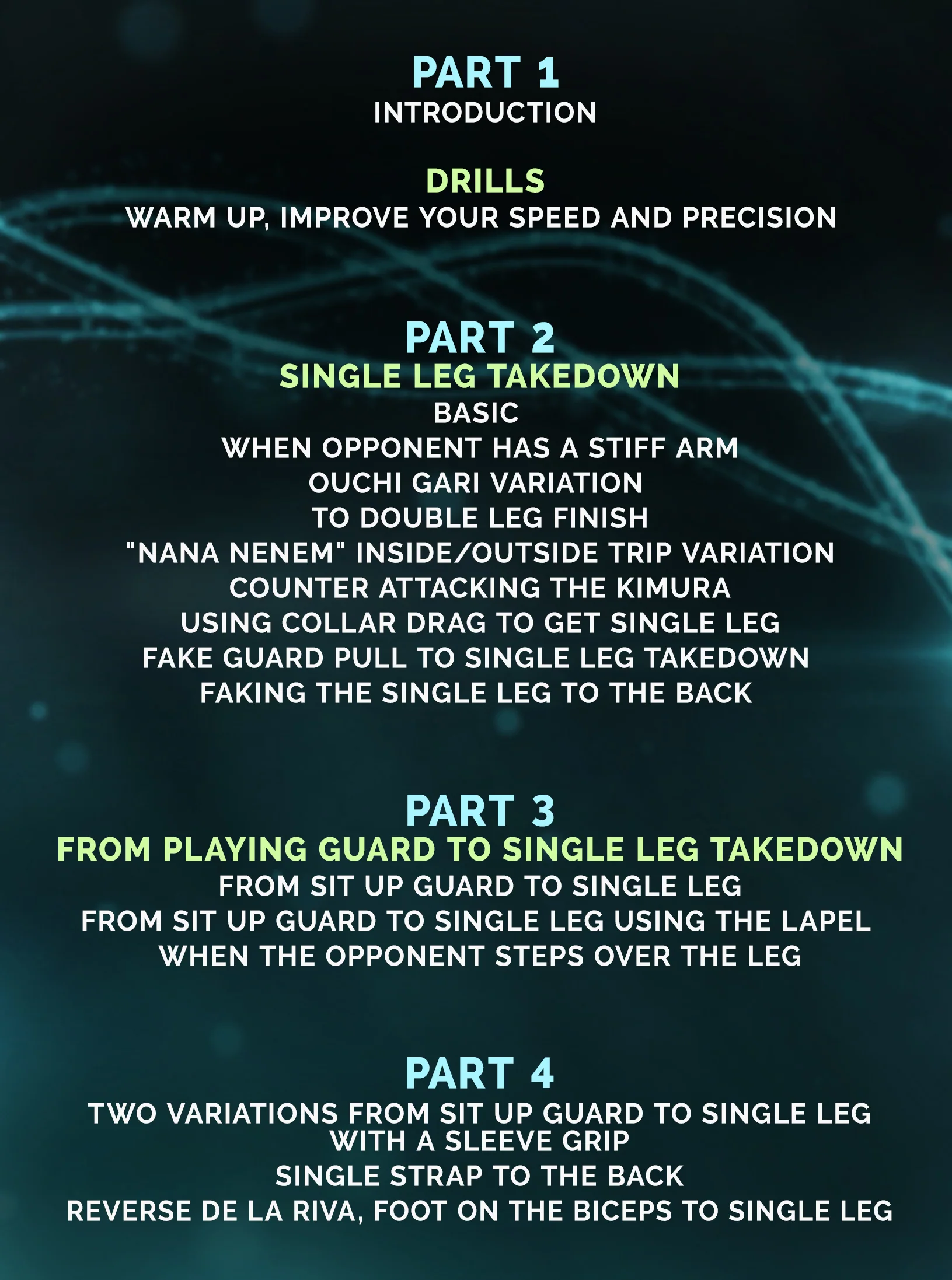 The Most Effective Single Leg Takedowns by Jansen Gomes - Image 2