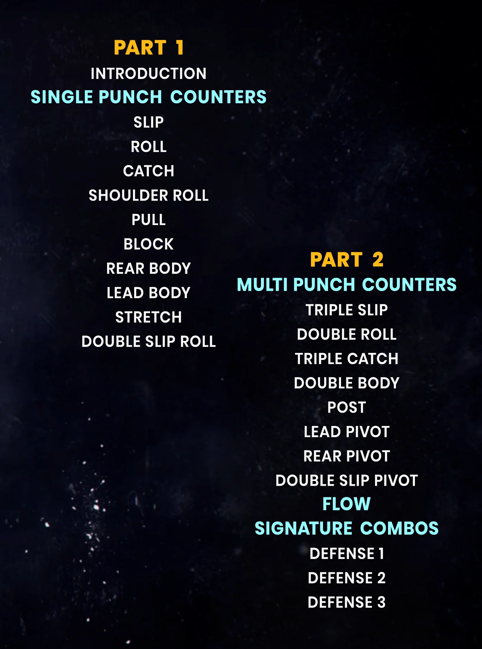 The Padbros Mayweather System by Ray Sabur - Image 2