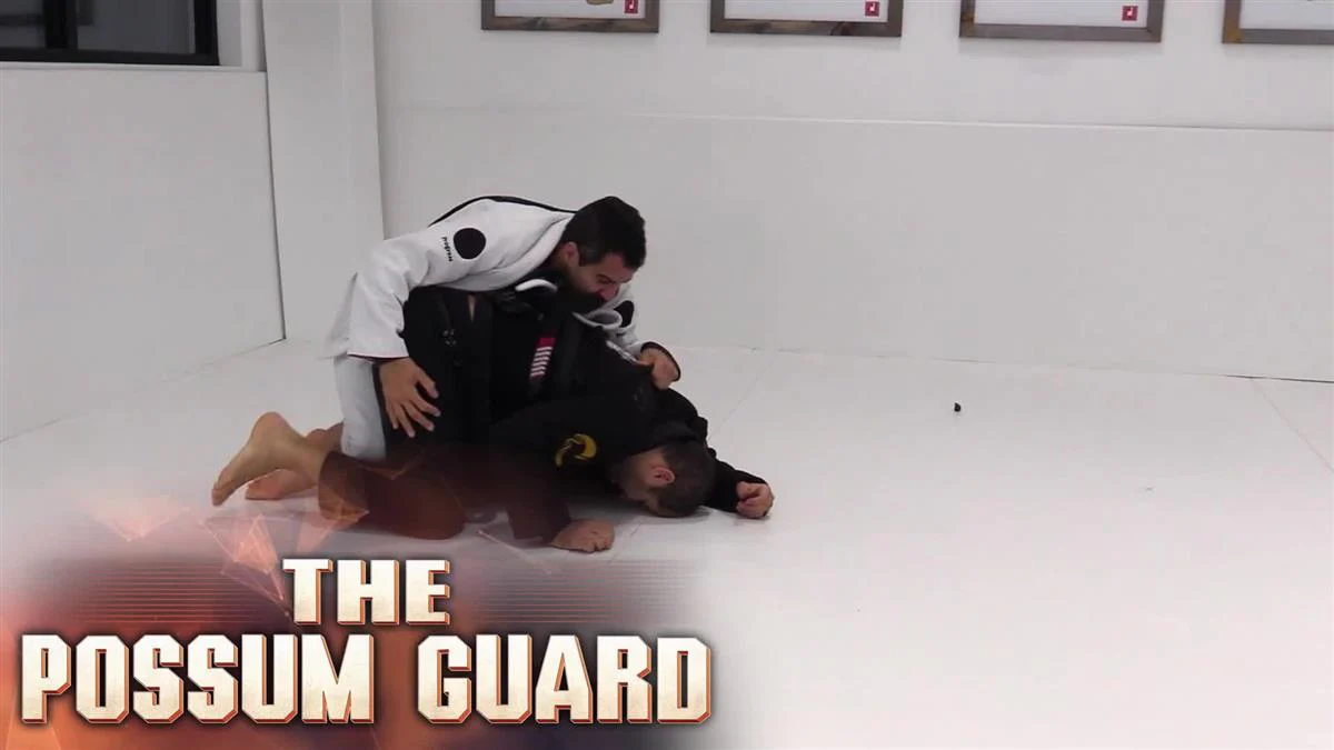 The Possum Guard by Ricardo Vieira - Image 3