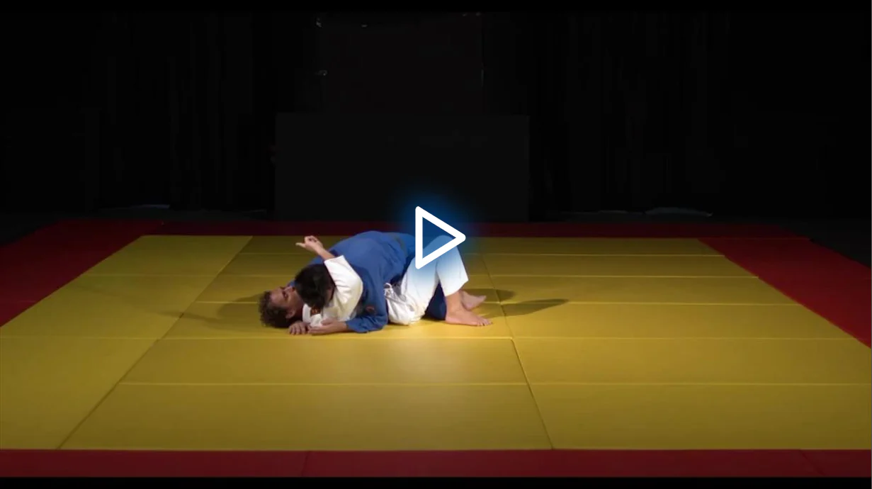 The Progressive System: Canto Choke Mastery by Flavio Canto - Image 5