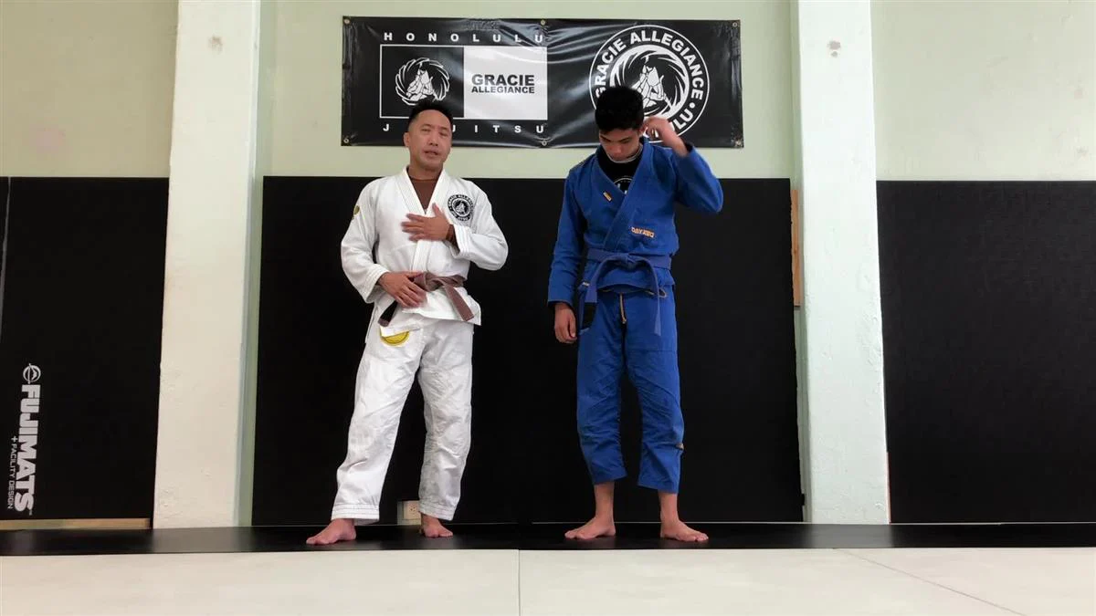 The Python Back Triangle by Michael Chu - Image 5