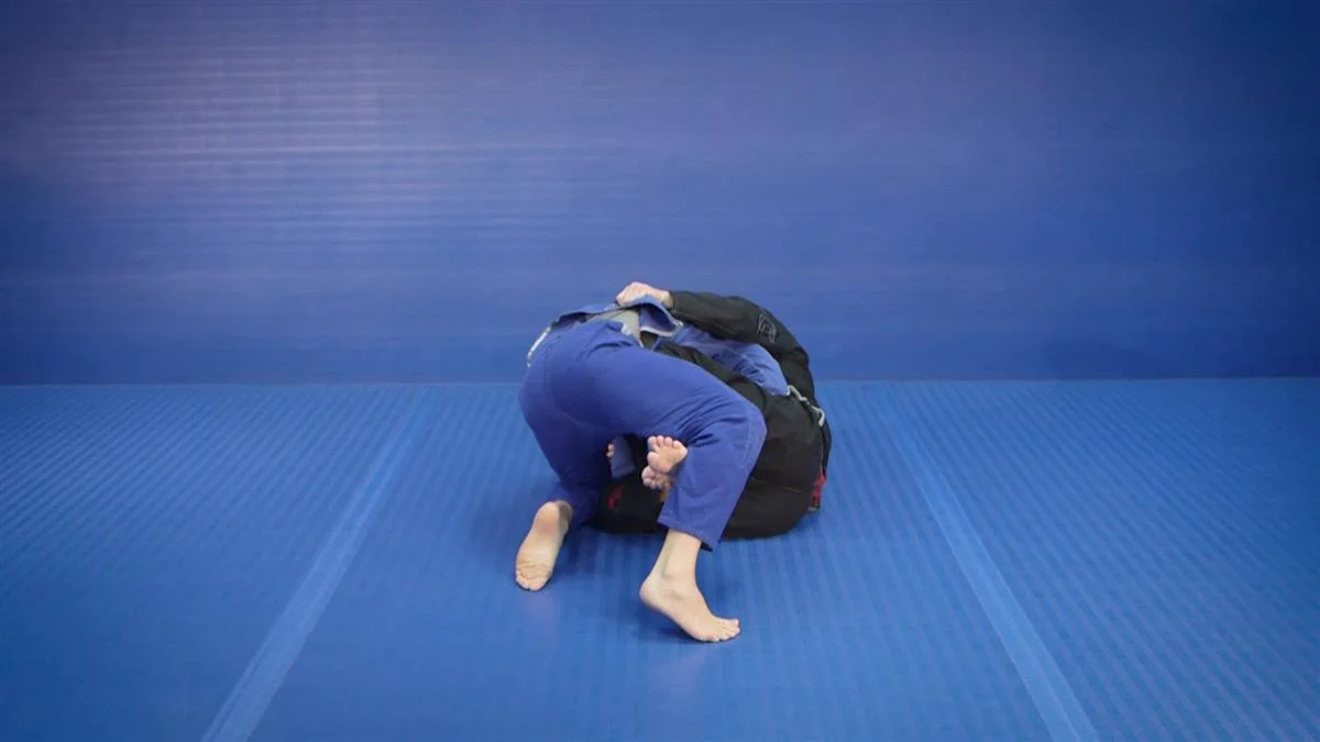 The Road To Blue Belt by Travis Lutter - Image 3