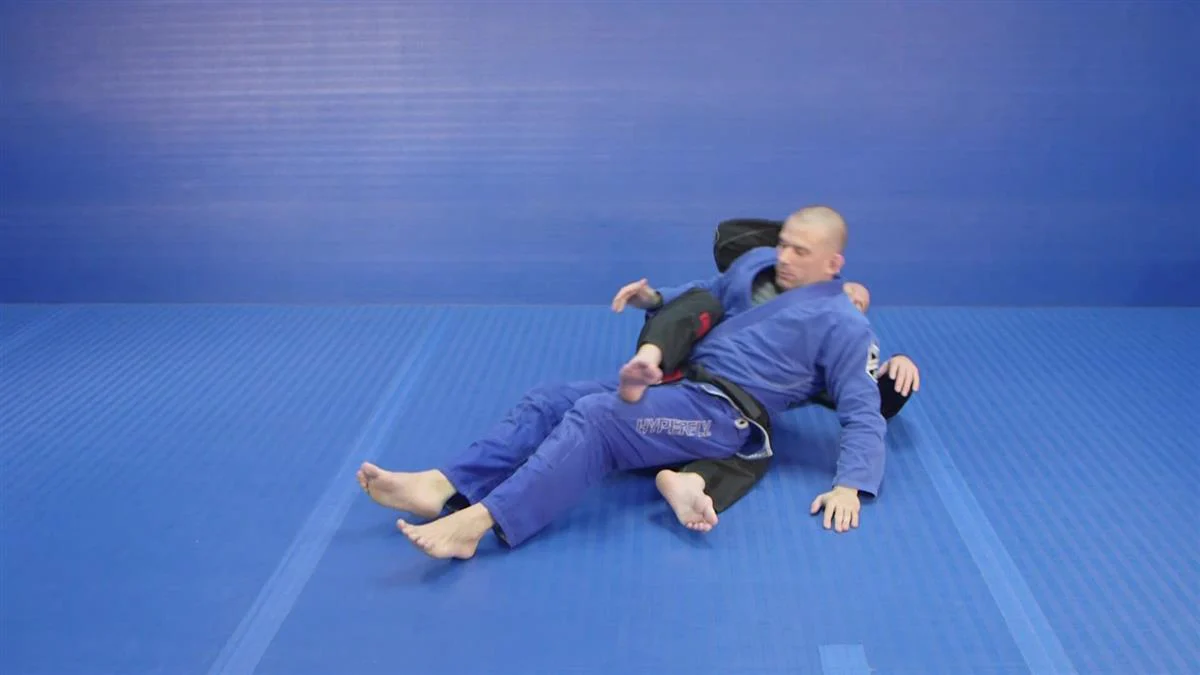 The Road To Blue Belt by Travis Lutter - Image 4