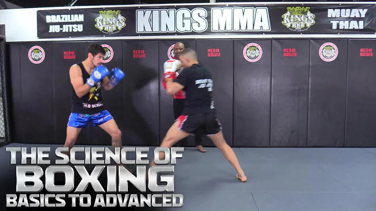 The Science Of Boxing Basics to Advanced by Rafael Cordeiro - Image 3