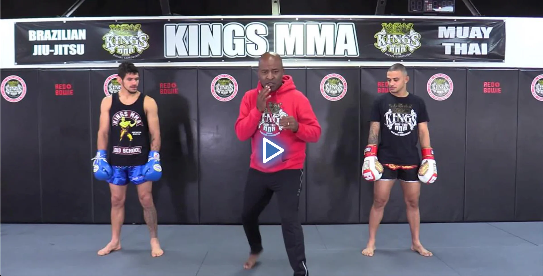 The Science Of Boxing Basics to Advanced by Rafael Cordeiro - Image 4
