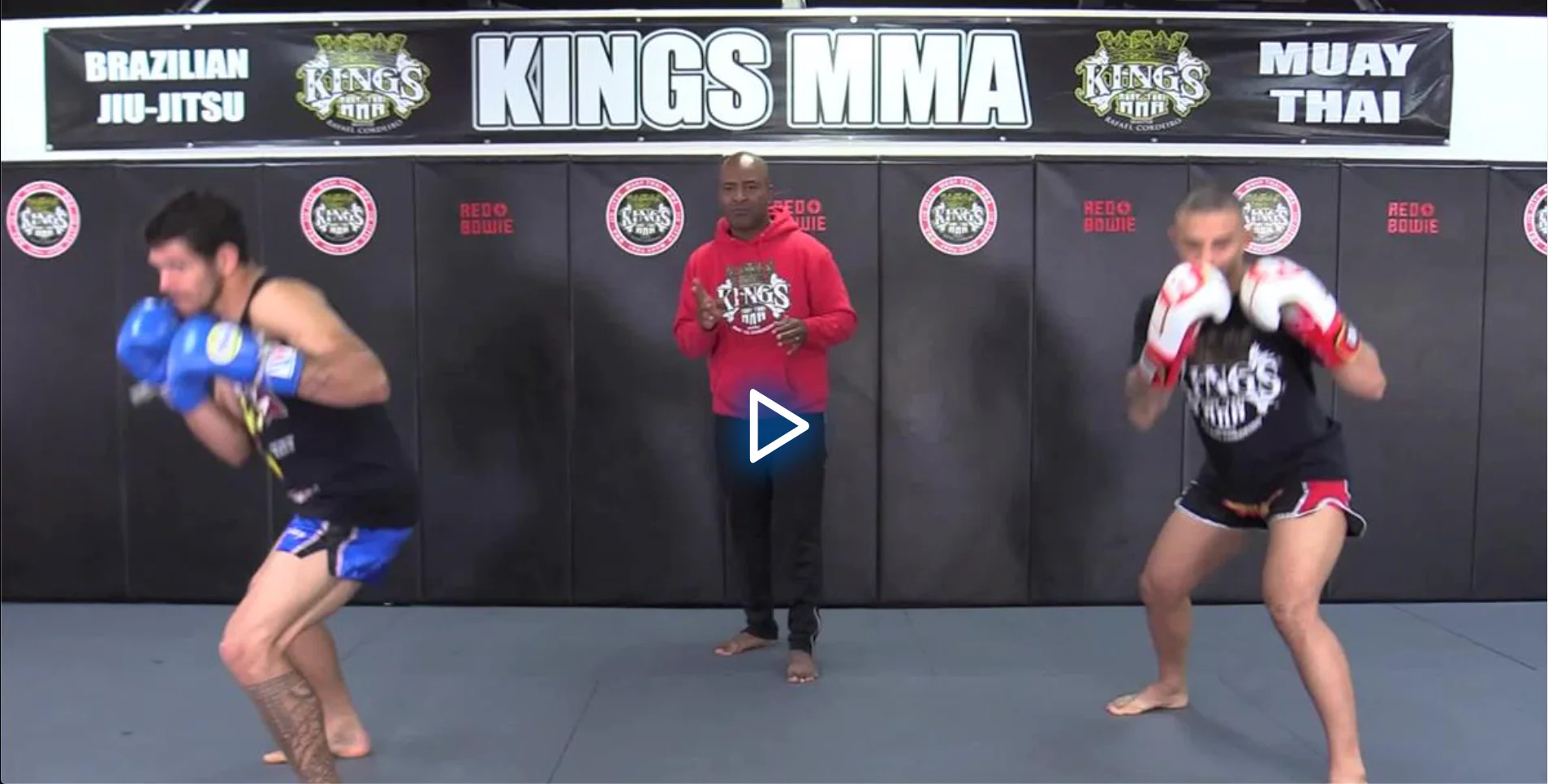The Science Of Boxing Basics to Advanced by Rafael Cordeiro - Image 5