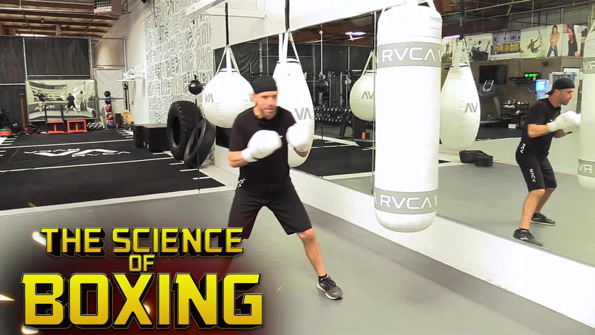 The Science of Boxing by Jason Parillo - Image 3
