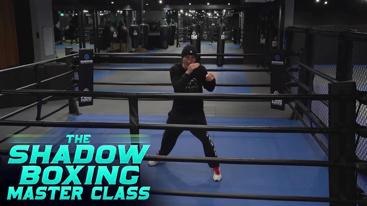 The Shadow Boxing Masterclass by Ben Savva - Image 3