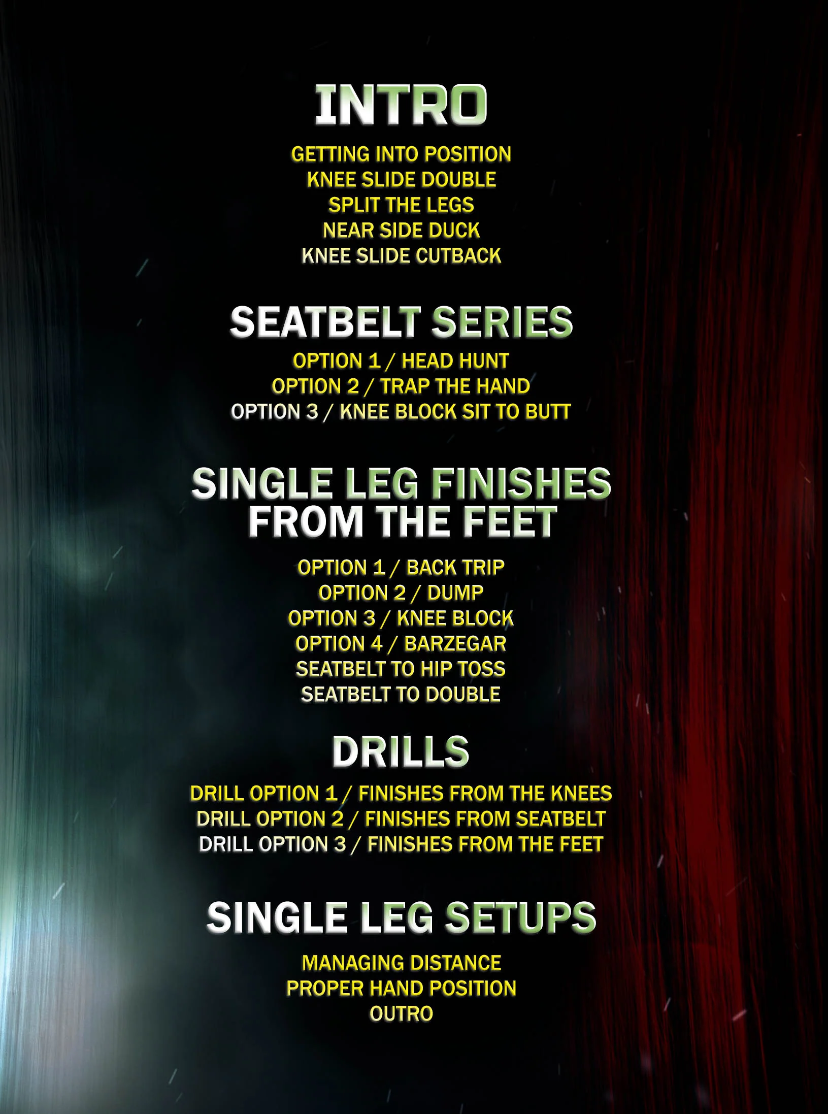 The Single Leg Compendium by Barry Davis - Image 2