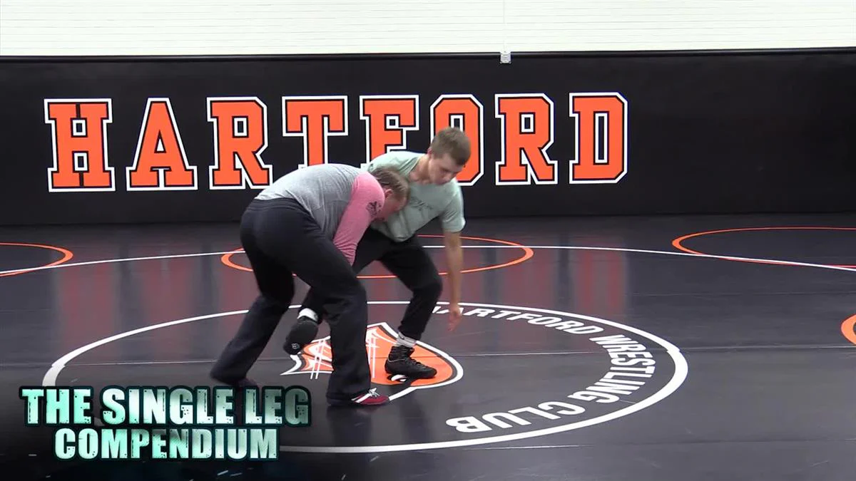 The Single Leg Compendium by Barry Davis - Image 3