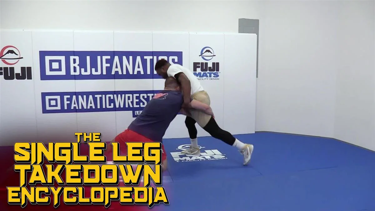 The Single Leg Takedown Encyclopedia by Dan Vallimont - Image 3