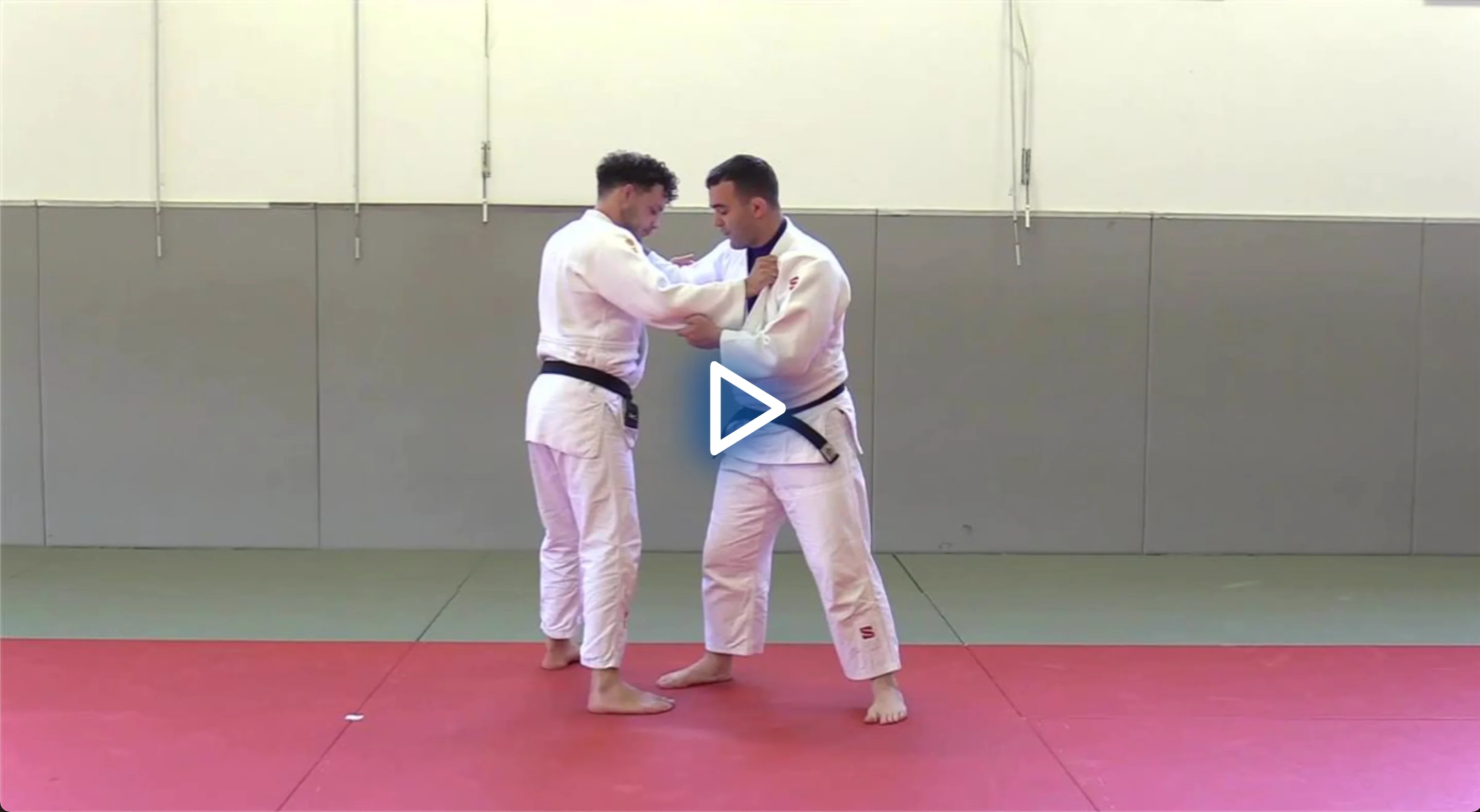 The Slovenian Judo System by Aljaz Sedej - Image 3