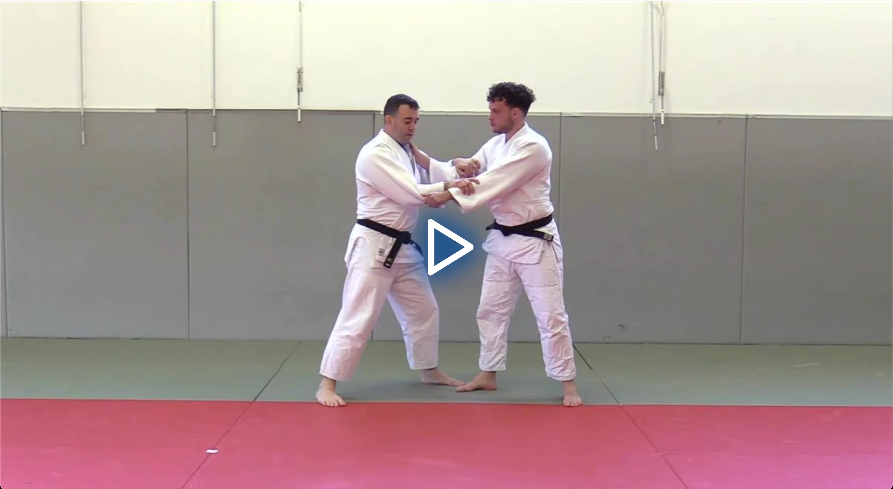 The Slovenian Judo System by Aljaz Sedej - Image 4