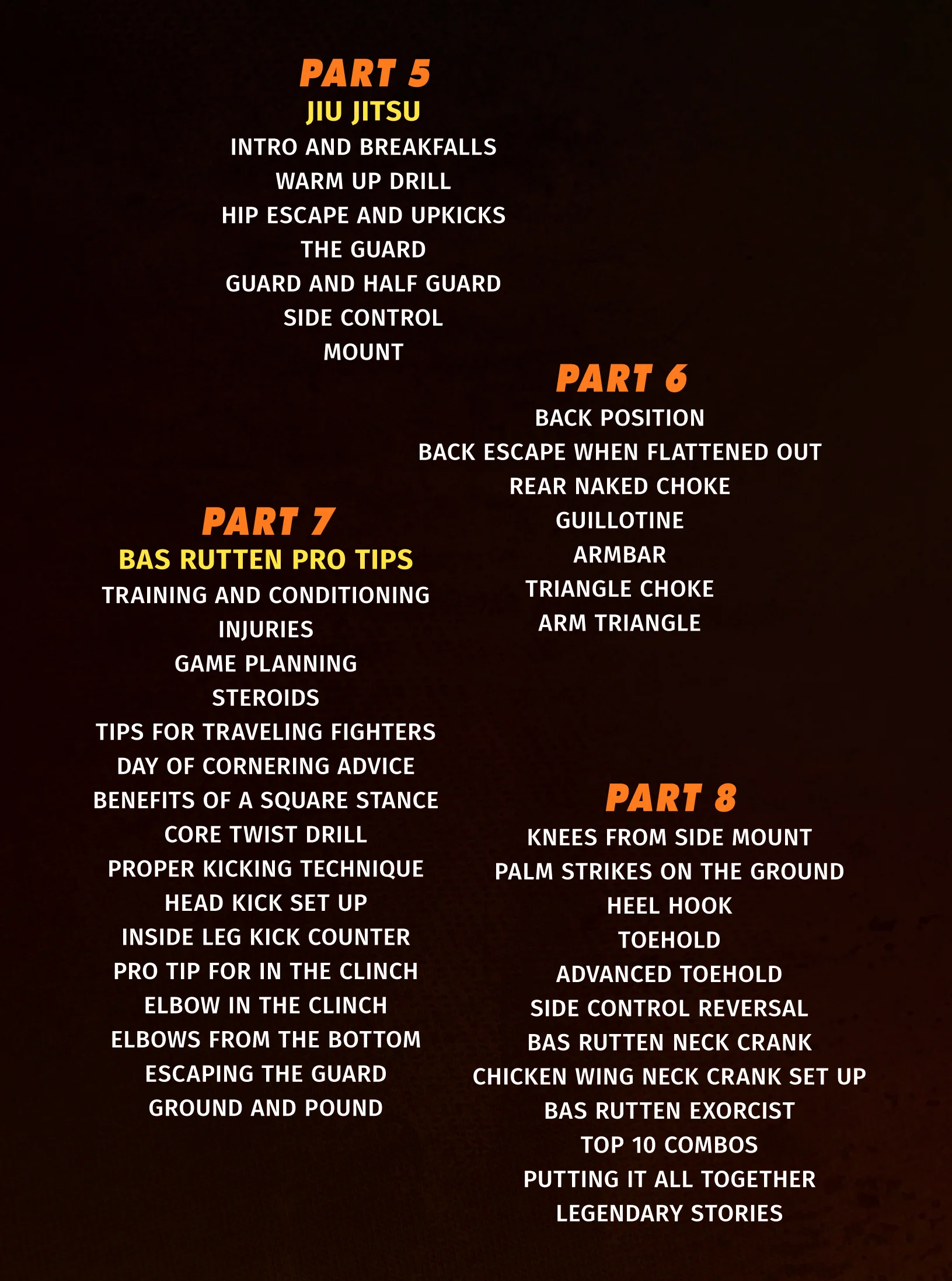 The Tao Of MMA Bundle by Duane Ludwig - Image 3