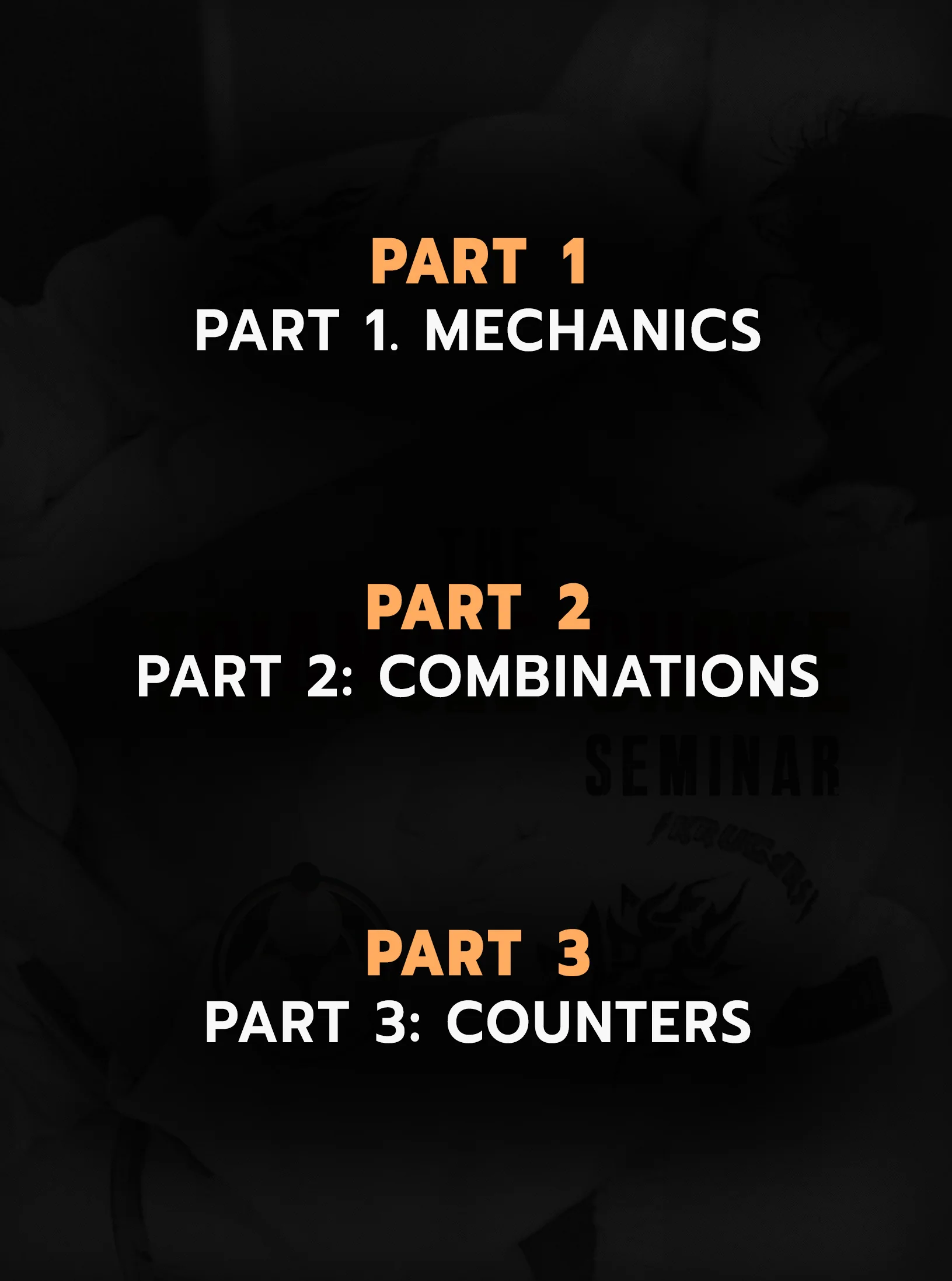 The Triangle Choke Seminar by Roy Dean - Image 2