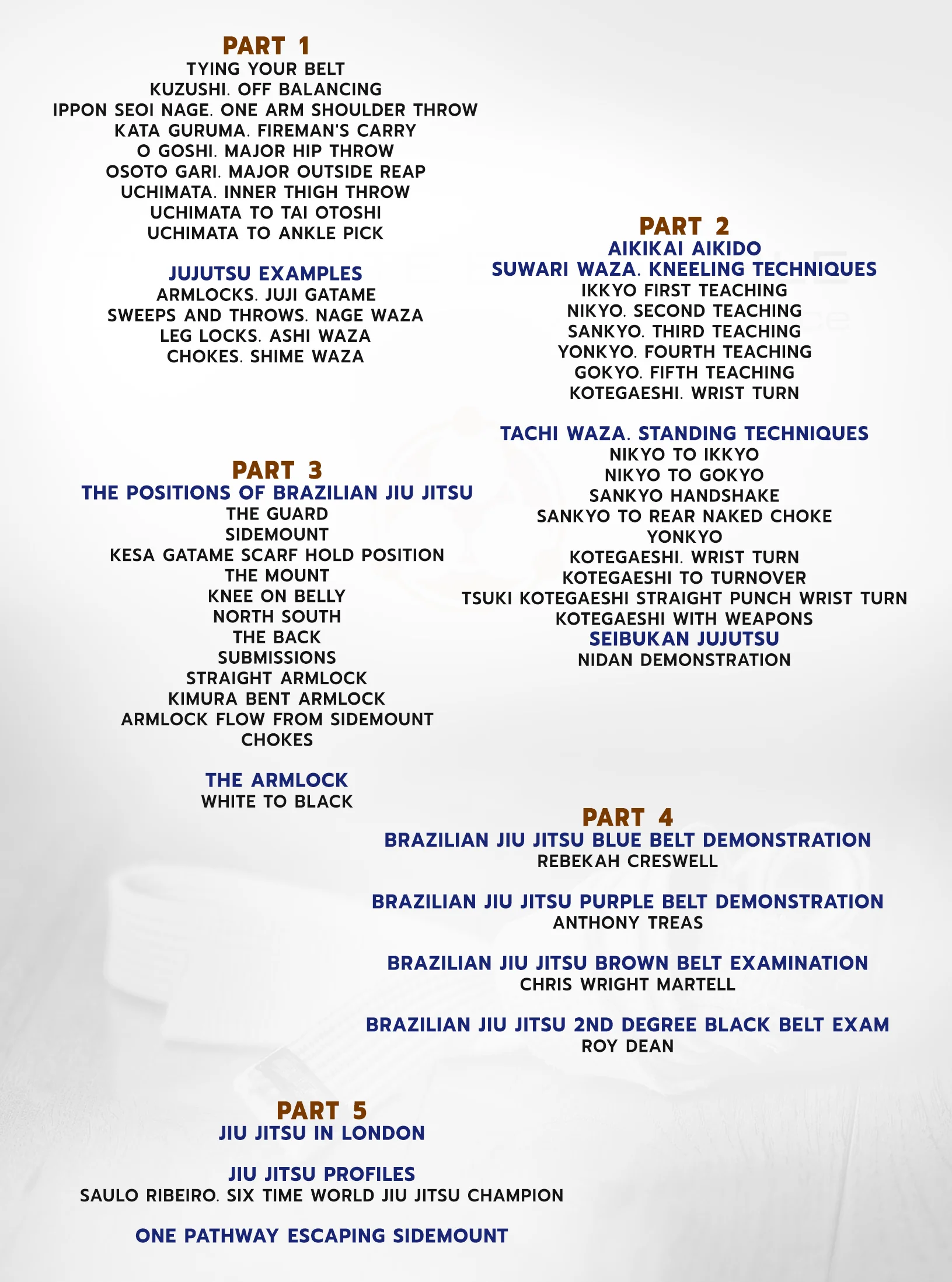 The White Belt Bible by Roy Dean - Image 2