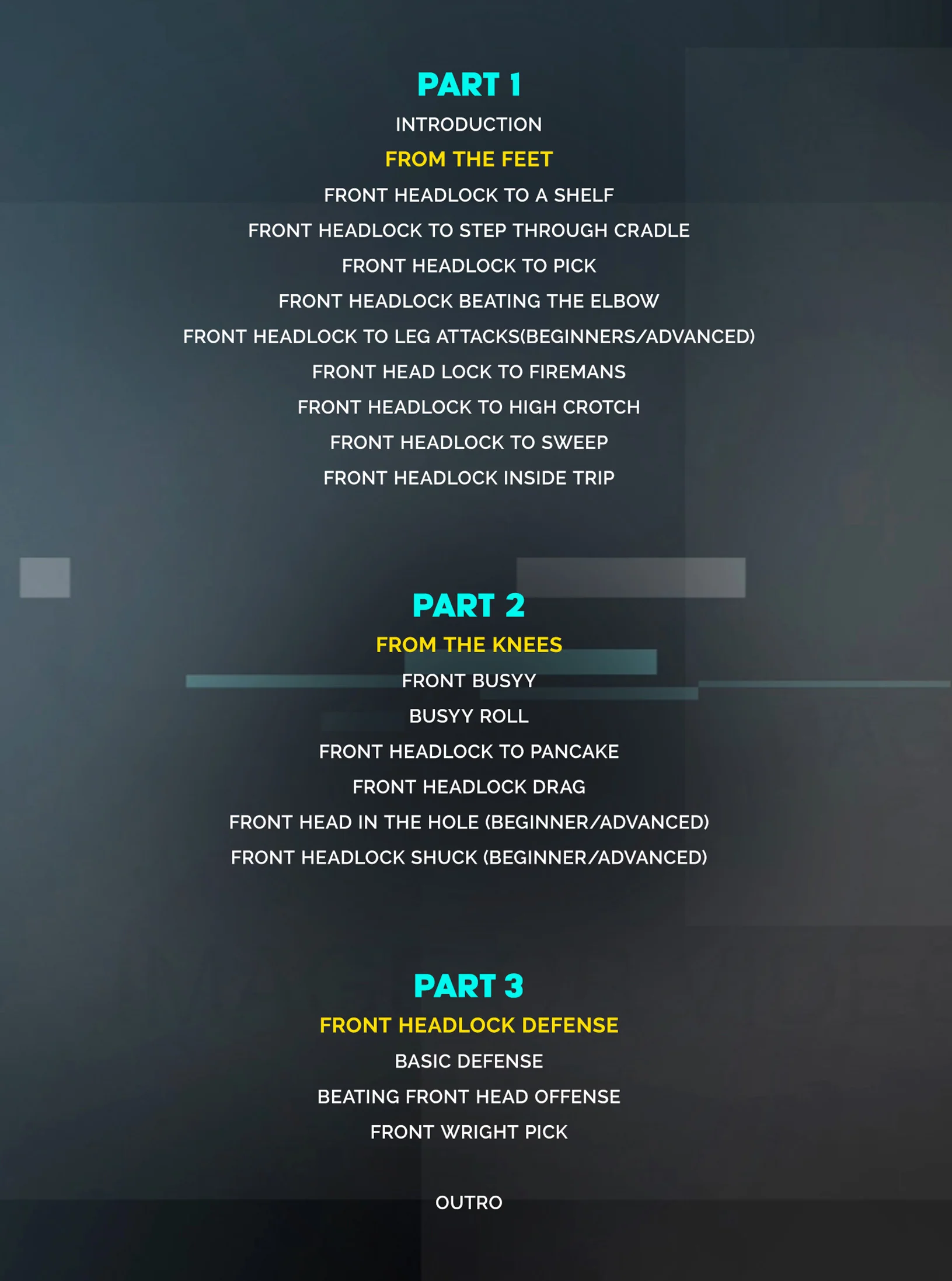 The Wright Way Takedown System by Brandon Wright - Image 2