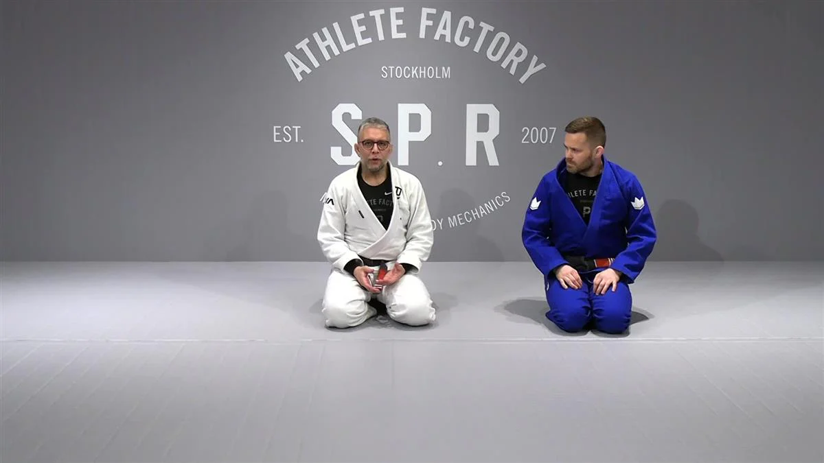 The Z Belt Back Control: A Grip Evolution of The Seatbelt by Waldo Zapata - Image 4