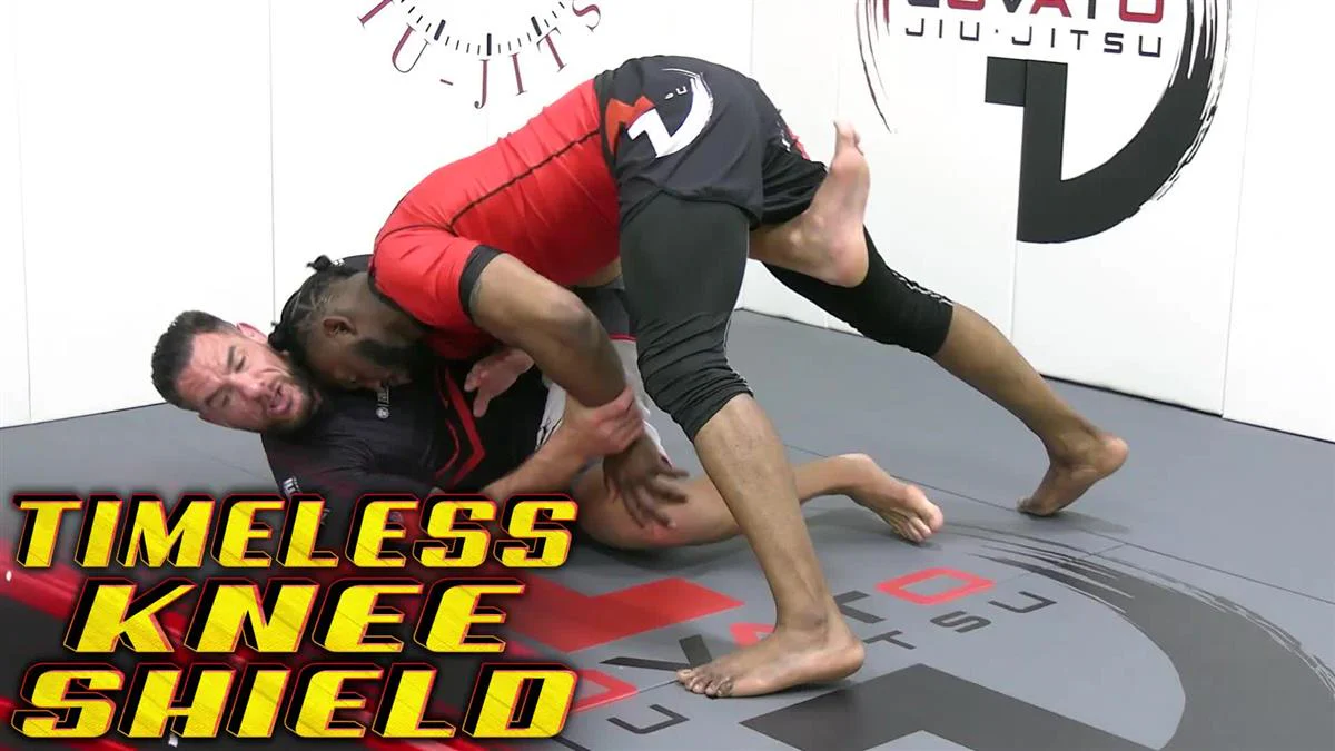 Timeless Knee Shield by Rafael Lovato - Image 3