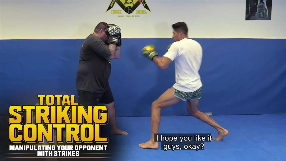 Total Striking Control by Alex "Po Atan" Pereira - Image 3